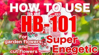 HB101 Liquid Benefits amp Usage [upl. by Aleiram]