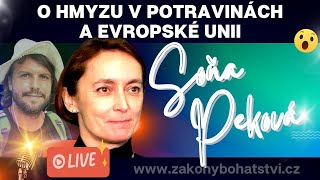 Soňa Peková quotO HMYZU v potravinách a Evropské uniiquot [upl. by Mcclelland]