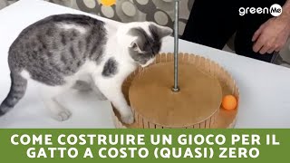 Come costruire un gioco per il tuo gatto a costo quasi zero [upl. by Brom]