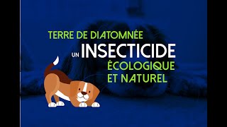 La Terre de Diatomée  insecticide écologique et naturel [upl. by Faletti]