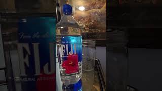 Fiji water review [upl. by Mackay908]