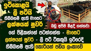 ආදායම මාසෙට ලක්ෂයක් ෂුවර්  ඉට්කොළ යාර දෙක තුනකුයි රීප්ප පටි ටිකකුයි ඇති  Vermicompost Farming [upl. by Vihs]