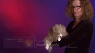 Folkmanis® Fluffy Cat Puppet Demo [upl. by Lallage]