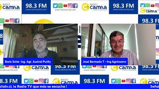 Conversando de Agricultura en RadioCamilaTV de LosAngelesCL [upl. by Eednahs]