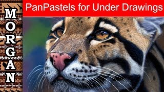 How to use PanPastels for under drawings [upl. by Teloiv]