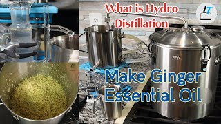 Make Ginger Essential Oil and Hydrosol by Hydro Distillation How to do Hydro Distillation [upl. by Muhcon]