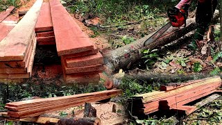 Kehidupan di gunung membuat papan dan balok untuk membangun pondok ep 168 [upl. by Parsons]