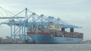 Worlds largest Container Ship Merete Maersk Line TripleE also Hanjin Asia MSC Lauren in Rotterdam [upl. by Idid]