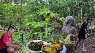 aktivitas sore bersama keluargamasak tumis daun pepayaayam goreng makan malam masakan desa [upl. by Amles]