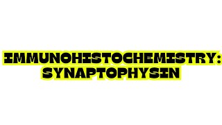 IMMUNOHISTOCHEMISTRY SYNAPTOPHYSIN [upl. by Magdala486]