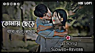 তোমায় ছেরে জাবো বলো কোথায়  Tomay Cere Jabo Bolo Kothay Slow Music  Music Lofi Slowed Reverb [upl. by Mmada]