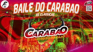 CARABAO  BAILE DO CARABAO  MÚSICAS CLÁSSICAS  NOVEMBRO 2023 [upl. by Nnazus]