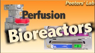 Perfusion bioreactors [upl. by Aloise840]