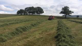 Massey Ferguson 6480 chopping with JF 1050 [upl. by Aldus]