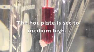 Candle wax melting point [upl. by Toogood]