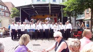 Altländer ShantyChor beim Altstadtfest in Buxtehude [upl. by Chud]