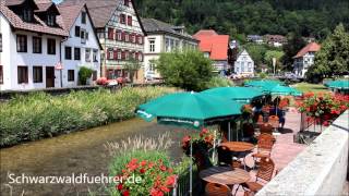 Fachwerkstadt Schiltach im Kinzigtal im Schwarzwald [upl. by Temple596]