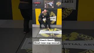 Judo throw Kouchi Gaeshi Small inner reap reversal with KMan McEvoy and Mark Hamilton [upl. by Valery]