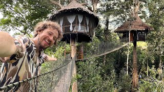 Este hotel está construido sobre ÁRBOLES  Tree Lodge Amazonas [upl. by Shafer42]