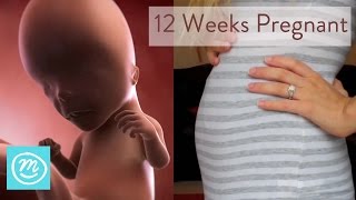 12 Weeks Pregnant What You Need To Know  Channel Mum [upl. by Hays]