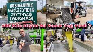 490 Kilo Zeytinden Bakın Kaç Kilo Zeytinyağı Çıktı  Deveciler Fabrikası Osmaniye [upl. by Borras]