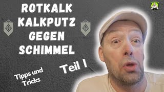 Schimmelbehebung  Putz austauschen von Gipsputz auf Kalkputz  Teil 12 [upl. by Aneerak934]