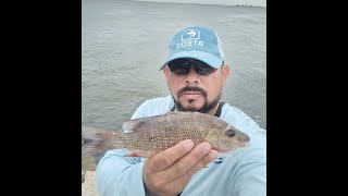 The SNAPPERS Before The STORM Fishing Gandy Bridge [upl. by Dlopoel759]