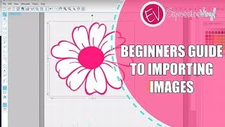 Beginners Guide to Importing Images into Silhouette Studios [upl. by Werdnael]