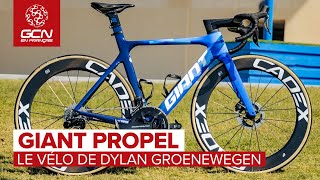 Le vélo Giant Propel de Dylan Groenewegen  Team BikeExchangeJayco [upl. by Noicpecnoc]