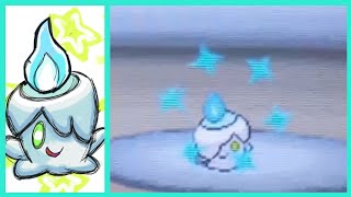 Live Shiny Litwick After 17018 Encounters [upl. by Adnolor]