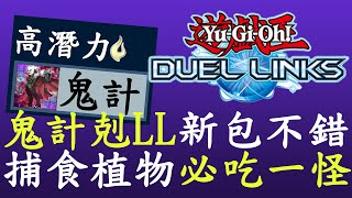 【遊戲王Duel Links】T表更新捕食植物好強啊1029 [upl. by Dimitry]