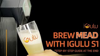 How to Brew Mead in iGulu S1  StepbyStep Mead Brewing Tutorial [upl. by Laitselec748]