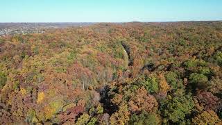 Droning on a beautiful fall day [upl. by Cralg]