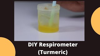 DIY Respirometer Turmeric  Class 10 Science Lab Experiment [upl. by Goldfarb]