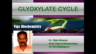 GLYOXYLATE CYCLE [upl. by Apgar]