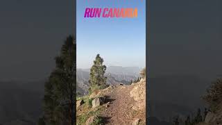 A Virtual Trail Run in Gran Canaria 🇮🇨 [upl. by Anelej]