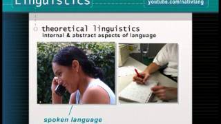 What is linguistics How do linguists study language  Linguistics 101 [upl. by Modla]