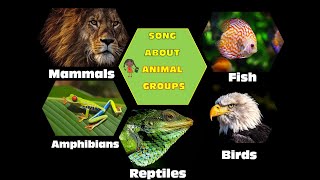 Song About Animal Groups for Children Animal Classification Vertebrates Sing and Learn Science [upl. by Didi]