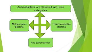 Archaebacteria and its Details  Extremophilic Bacteria  Microbiology with Sumi [upl. by Nymrak66]