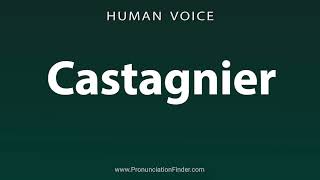 How To Pronounce Castagnier [upl. by Slotnick]