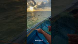 Kalpitiya Lagoon 🇱🇰 traveling travel travelsl kalpitiya fishing video trend trendingshorts [upl. by Ahter]