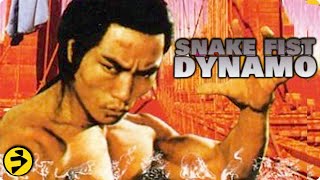 SNAKE FIST DYNAMO  Classic Kung Fu Martial Arts Action  Full Movie [upl. by Elirpa]