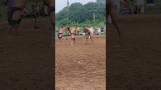 Shinj Mela damowal hoshiarpur phelwan dangal shinj chinj fight [upl. by Olleina]