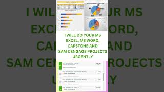 SAM Cengage and MS Excel Projects  Sam Cengage  Capstone Projects  Excel  MS Word [upl. by Furlani]