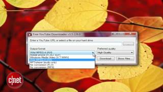 First Look Free YouTube Downloader [upl. by Kinch]