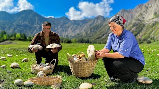 Collecting Wild Mushrooms in Azerbaijan’s Mountains  Traditional Mushroom and Potato Recipe [upl. by Pesvoh]