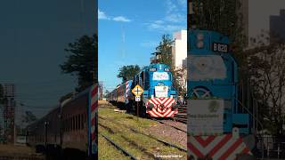 TREN SOLIDARIO N°52 Rumbo a cipolletti train trenesargentinos railway argentina ferrocarril [upl. by Enyrehtak]