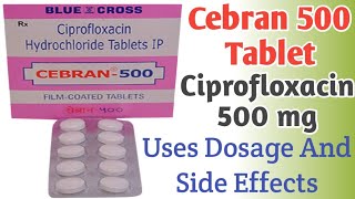 Cebran 500 mg Tablet Uses  Ciprofloxacin Tablets ip 500mg  Dosage And Side Effects [upl. by Ailad]