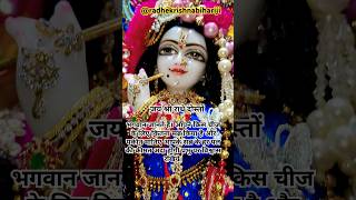 Krishna Bhajans So Beautiful Youll Want to Sing Along [upl. by Anyd]