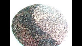 How To Harvest Amaranth Seed For Food Tutorial [upl. by Shaer]